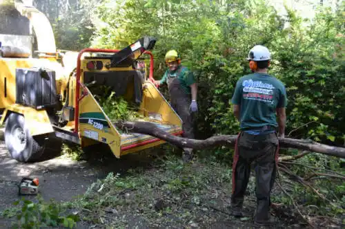 tree services Coarsegold